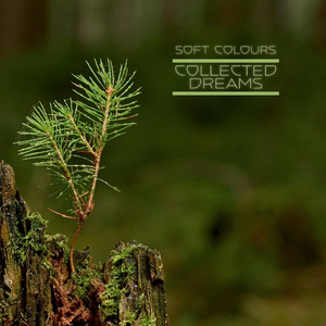 车上没空了你坐小杰身上说说
