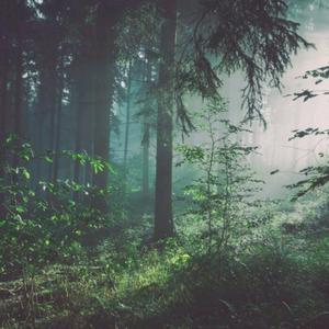 车上没空了你坐小杰身上说说
